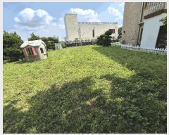  2025Ÿ��33426  ����