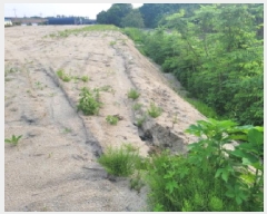  2025Ÿ��33426  ����