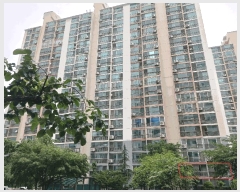  2025Ÿ��33703  ����Ʈ���