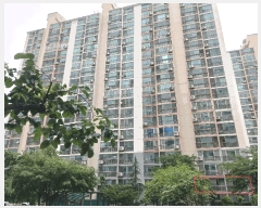  2025Ÿ��33703  ����Ʈ���