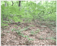  2025Ÿ��33836  �Ӿ߰��