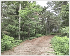  2025Ÿ��33836  �Ӿ߰��