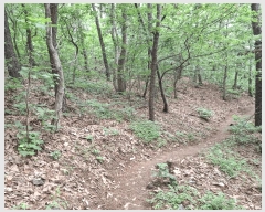  2025Ÿ��33836  �Ӿ߰��