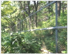  2025Ÿ��33836  �Ӿ߰��