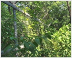  2025Ÿ��33836  �Ӿ߰��