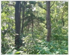  2025Ÿ��33836  �Ӿ߰��