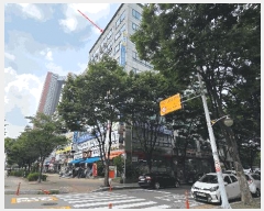  2025Ÿ��33894  �ٸ��󰡰��