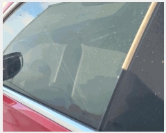  2025Ÿ��33900  �������