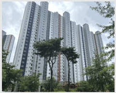  2025Ÿ��34276  ����Ʈ���