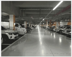  2025Ÿ��34276  ����Ʈ���