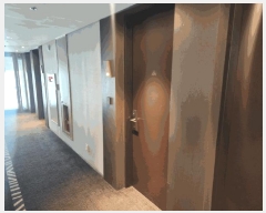  2025Ÿ��452  �ܵ�(ȣ��)���