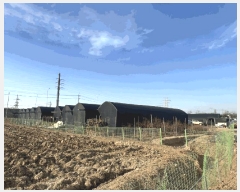  2025Ÿ��704 ��� ��õ�� ������ ������ 123-1      ����(��1)���