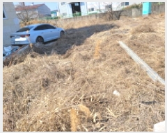  2025Ÿ��32812 ��� ������ ������ ���縮 708-4      ����(��1)���