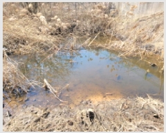  2025Ÿ��32812 ��� ������ ������ ���縮 708-4      ����(��1)���