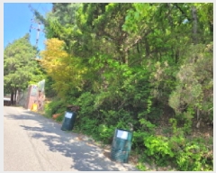  2025Ÿ��33177  ���������