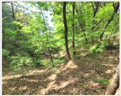  2025Ÿ��33177  ���������