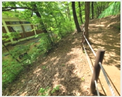  2025Ÿ��33177  ���������