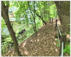  2025Ÿ��33177  ���������