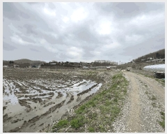  2025Ÿ��33249 ��� ������ �ϼ��� ���ݸ� 262-2      ����(��)���