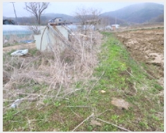  2025Ÿ��33249 ��� ������ �ϼ��� ���ݸ� 262-2      ����(��)���