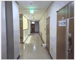  2025Ÿ��33309  ���ǽ��ڰ��