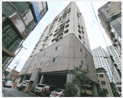  2025Ÿ��33676  ���ǽ��ڰ��