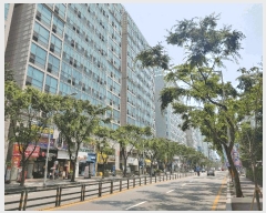  2025Ÿ��33702  ���ǽ��ڰ��