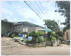  2025Ÿ��33729  ���ð��