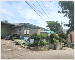  2025Ÿ��33729  ���ð��