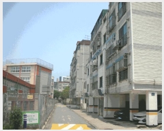  2025Ÿ��33732  �ټ���(����)���