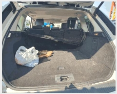  2025Ÿ��33752  �������