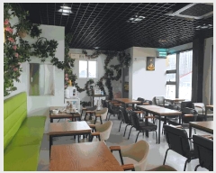  2025Ÿ��33809  ���ð��