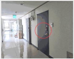  2025Ÿ��33913  ���ǽ��ڰ��