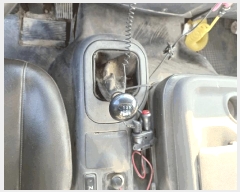  2025Ÿ��34100 ������ ����� ��ϸ� 208-3(����������)       �������