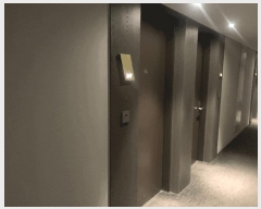  2025Ÿ��469  �ܵ�(ȣ��)���