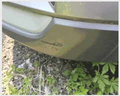  2025Ÿ33242  õ  һ 887(뼺)      