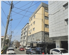  2025Ÿ��32954  �ټ���(����)���