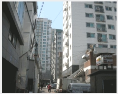  2025Ÿ��32958  ���ǽ��ڰ��