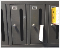  2025Ÿ��33014  �ټ���(����)���