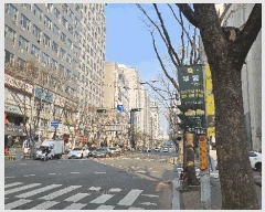  2025Ÿ33040  õ ̱ ߵ 1152-2 ƮӸ1 ̵ 8801ȣ   ǽڰ