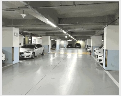  2025Ÿ33332   ǳ 897 ѹġ 5 512ȣ    ǽڰ