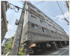  2025Ÿ33511  õ ̱ ̵ 177-65 û ̵ 4402ȣ   ټ,