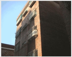  2025Ÿ��34038  �ټ���(����)���