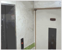  2025Ÿ��35364 ��� ��õ�� �һ籸 �ɰ�� 630-39 ���ֻ���ũ��1�� ���� 1��102ȣ   �ټ���,������