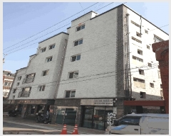  2025Ÿ32964  õ һ籸 һ纻 219-24  1 3 303ȣ  ټ,