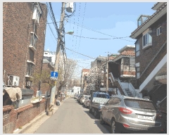  2025Ÿ33147  õ   287 ũ 4 401ȣ   ټ,