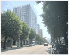  2025Ÿ��33260  ���ǽ��ڰ��