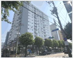  2025Ÿ��33260  ���ǽ��ڰ��