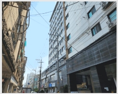  2025Ÿ��33389  ���ǽ��ڰ��