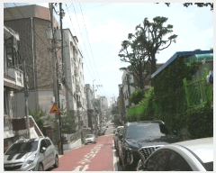  2025Ÿ��33656  �ټ���(����)���